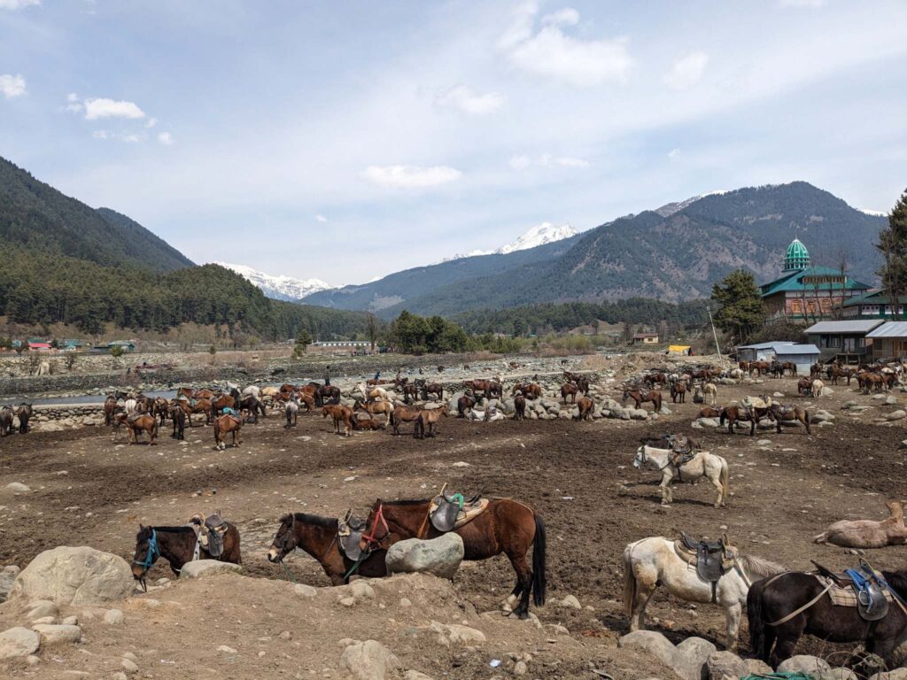 Baisaran Valley Pahalgam