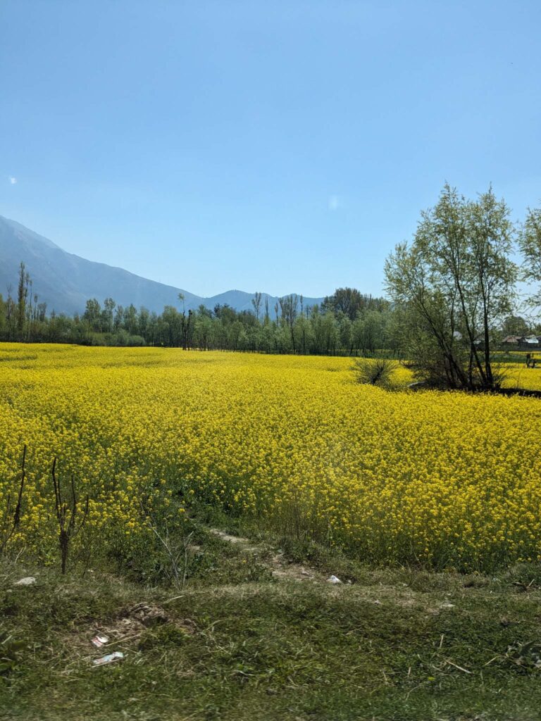 Pahalgam 