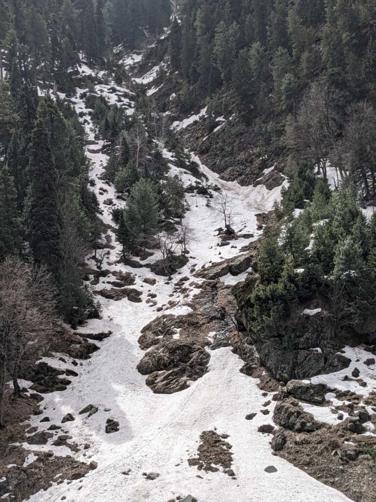 Sonmarg Avalanche