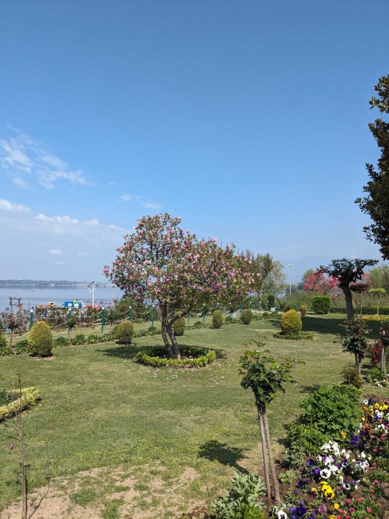 Nishat Garden, Srinagar