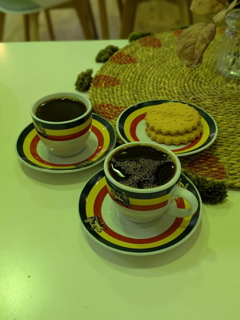 Addis Auckland
