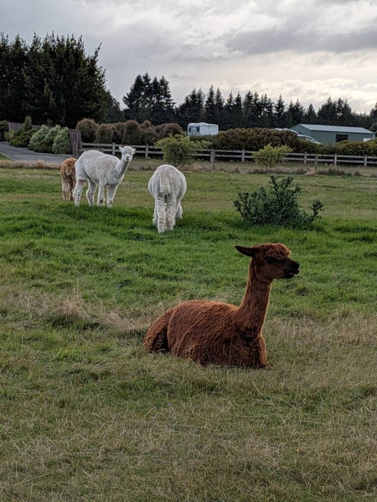 Te Anau, Queenstown
